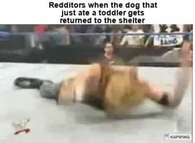 Cupcake did nothing wrong 😡😡😡