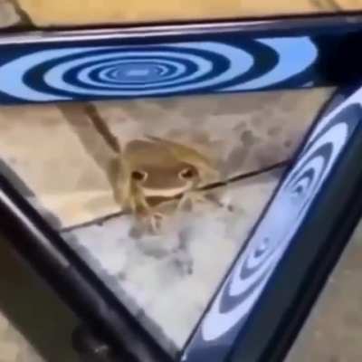ilu