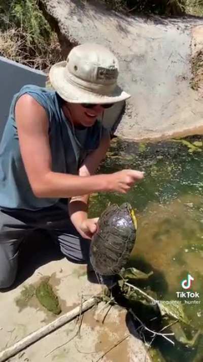 Idiot disturbs a red eared turtle and let&rsquo;s it bite him