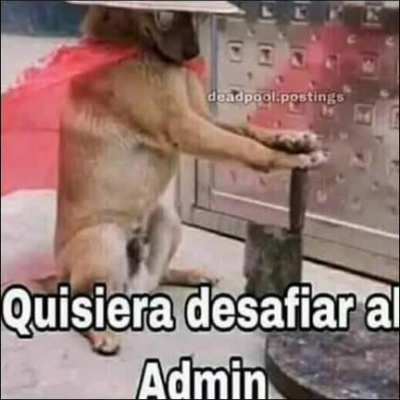 Aunque muera lucharé por la igualdad entre miembros y admins