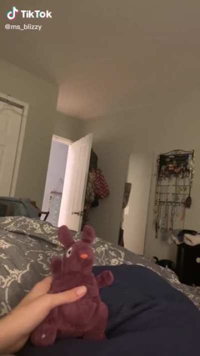 Flying pupper