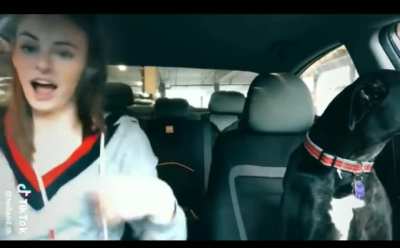 Behold the girl who got caught making this video