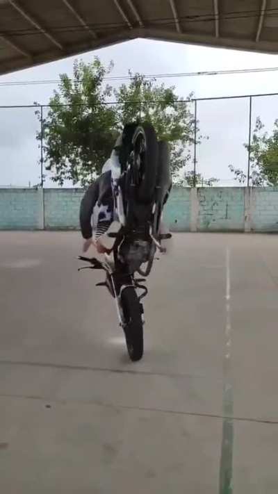 reverse filho