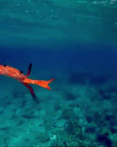 Mr Crabs, how&rsquo;s it going? Just hangin&rsquo; in there&hellip;