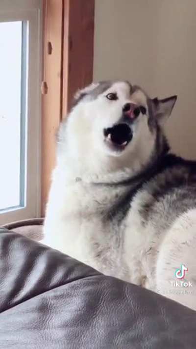 Kill.... me...