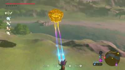 You telling me you don't need to use this minecart for that korok?