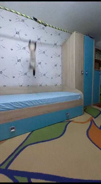 Путь ниндзи