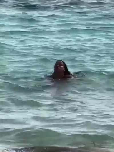 Beach Babe
