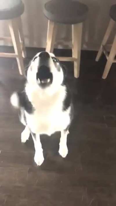 Нет, нет, нет, не слышу что ты говоришь