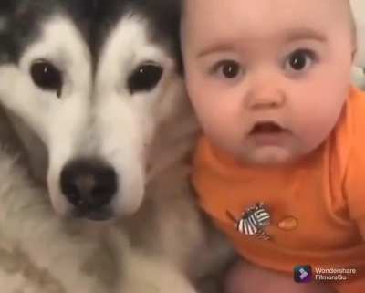 Buddy for life
