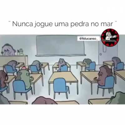 ( nunca jogue uma pedra no mar). Por Francisco Kaio da Costa Mesquita. "Tenho que admitir que eu chorei".