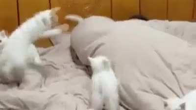 Its time to get up and feed us NOW!