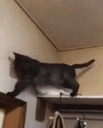 D: