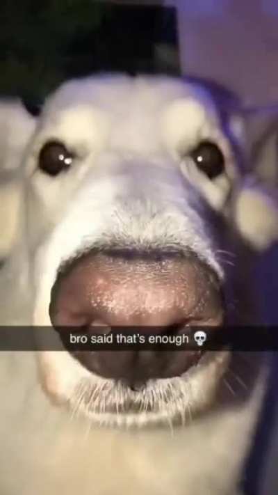 ︎︎︎︎︎︎︎