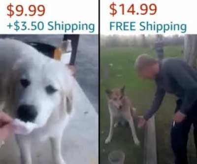 me_irl