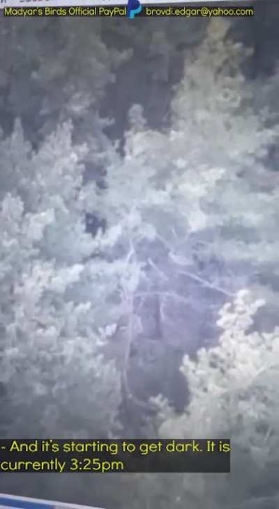 Madyar - UA drone recon. Hunting down a sniper that is observing Madyar's position. 28 Jan (posted 29th). PART 2. Subtitled