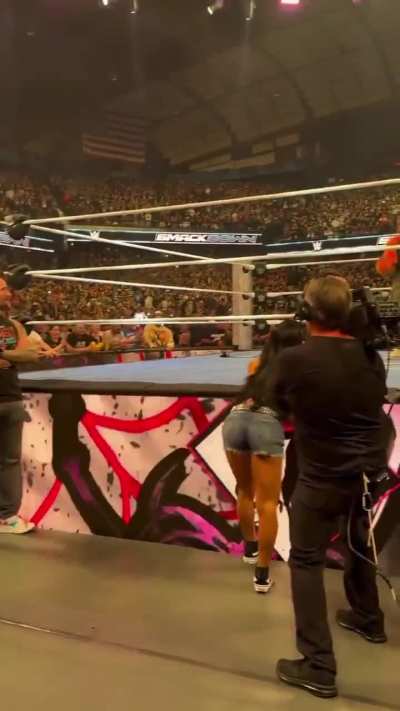 AJ Lee