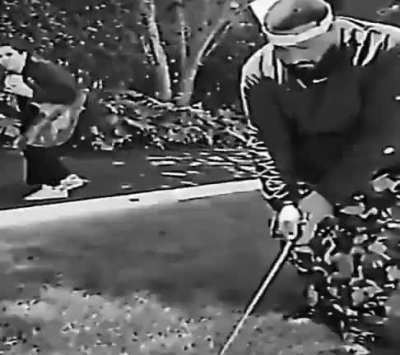Within an eerie and existential nightmare, a cursed golf course exists as a surreal realm. Tormented echoes and malevolent spectators question the fabric of reality. The golf ball defies physics, while bunkers become cosmic abysses. (Golf is shit)