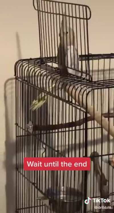 Don't do it