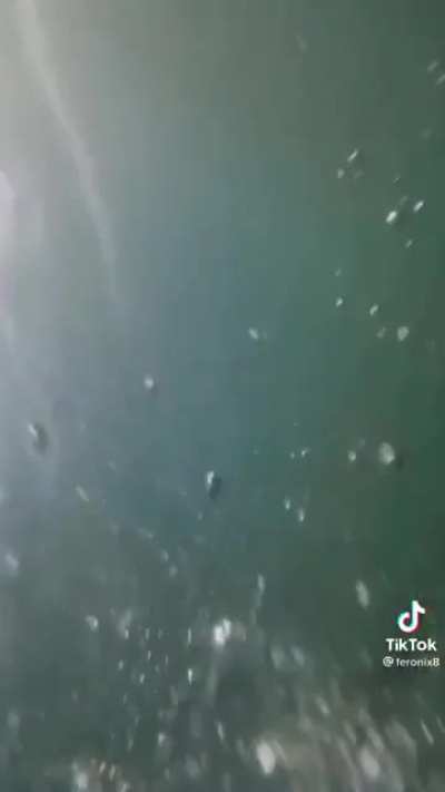 Masaya tlga sa batangas XD