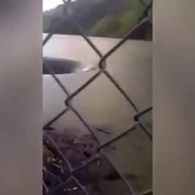 gritos perfeitamente cortados (divirt&atilde;o-se)