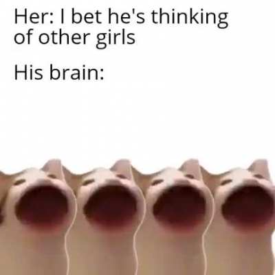 Perhaps