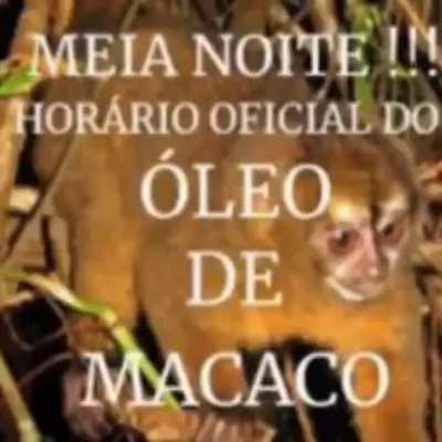 Sopa de macaco.mp4 fds