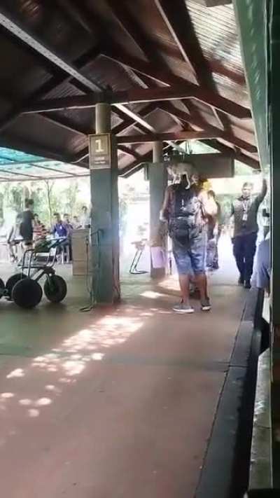 Un hombre y un gato se colaron al Parque Nacional Iguazú y terminaron expulsados