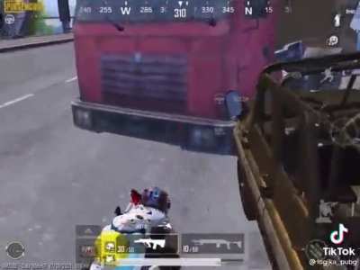 The painnn