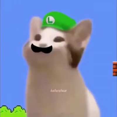 Mario picao a shoro zi