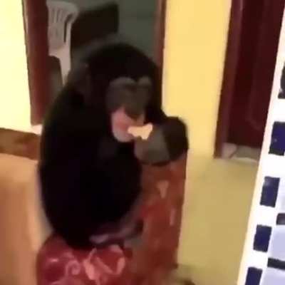 I need a monkey too