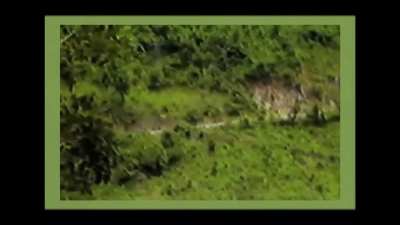(Enemy visible) Guerillas of the FMLN ambush an El Salvadorian convey 1982 "Salvadorian Civil War" Some soldiers are seen shot 