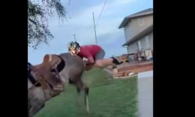 jonny joster