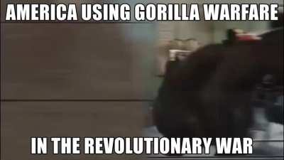🦍