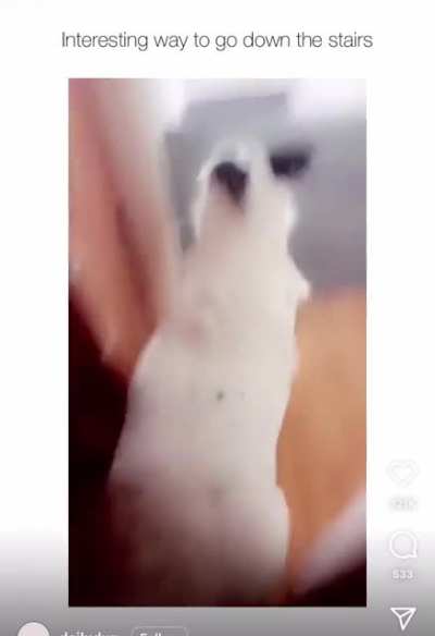 Ballerina
