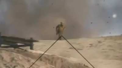Like a Boss