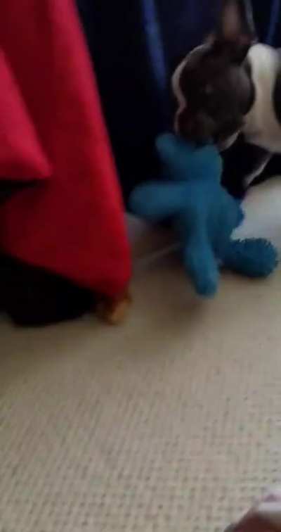 WRONG TOY WRONG TOY
