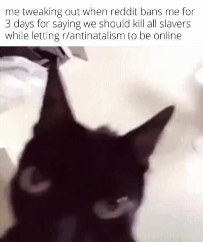 I love reddit