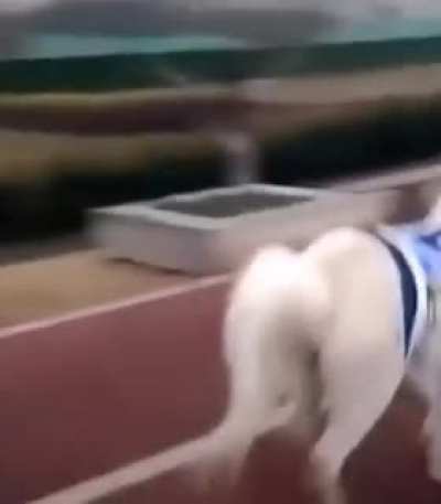 This pony don&rsquo;t care 😂
