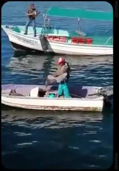 Hey man, don't steal my fish