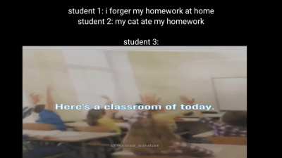 teacher: ok class show me your homework