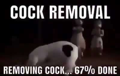 COCK REMOVAL