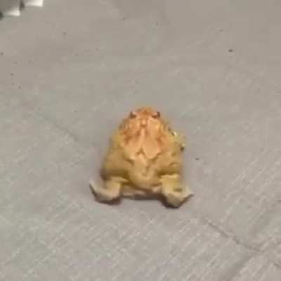 Ja beberam agua hj ?