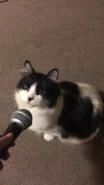 He&rsquo;s a Soprano