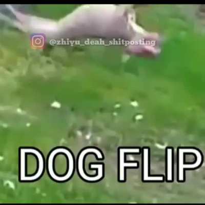 Dic
