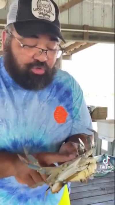 Man puts crab to sleep using a technique