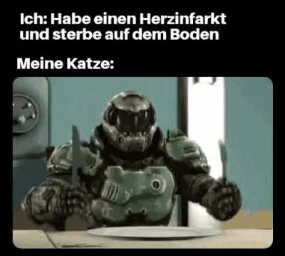 ich🙀iel