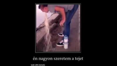&Oacute;igen, tej