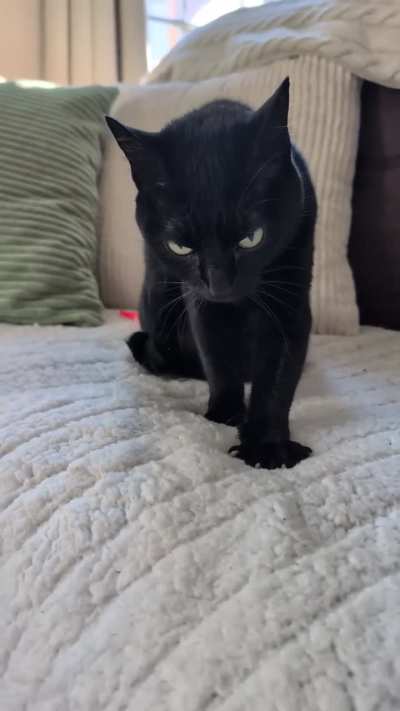 Getting ready for a long nap!