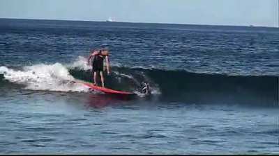 Let me kill this R/C surfboard!